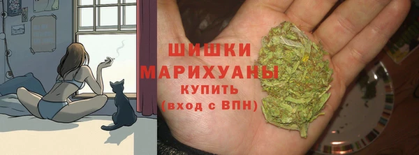 дживик Вязники