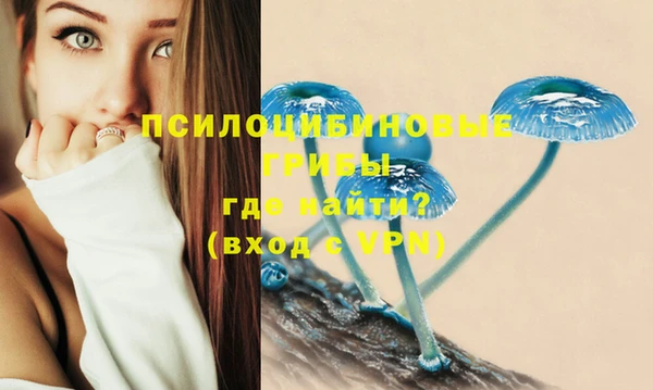 дживик Вязники
