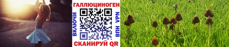 Галлюциногенные грибы GOLDEN TEACHER  мега вход  Ачхой-Мартан 